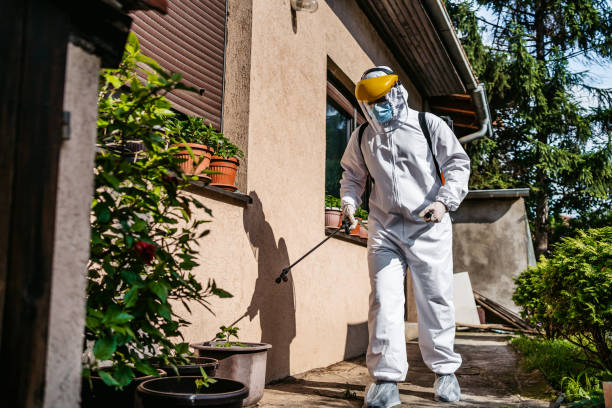 Best Pest Prevention Services  in Franklin, TX