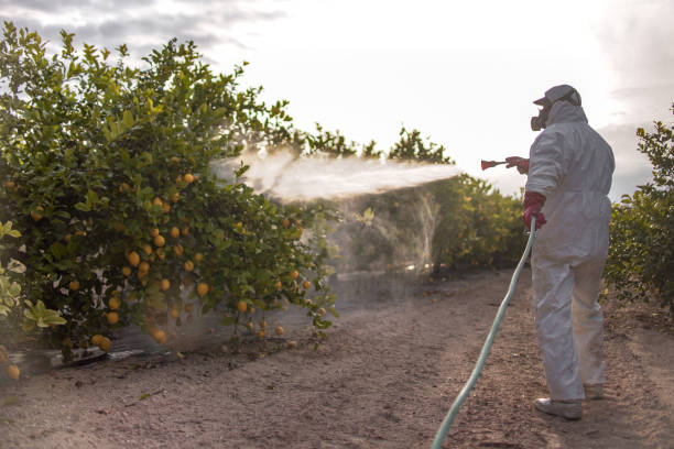 Best Wildlife Control Services  in Franklin, TX
