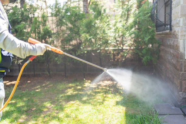 Trusted Franklin, TX Pest Control Experts